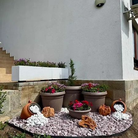 D02 Apartment Rogachevo